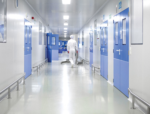 Interior Hollow Metal Access Air Shower Steel Clean Room Door For Food Warehouse